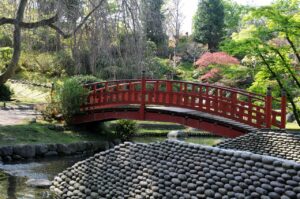 Japanese bridge in Albert Kahn Gardens 