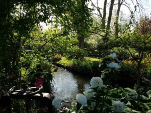 Charming Giverny gardens